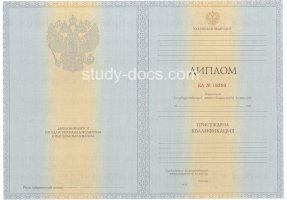 Диплом специалиста 2012-2013 в Дзержинске